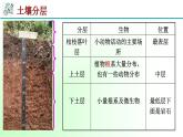 4.1《土壤的成分 第1课时》PPT课件+视频素材 浙教版八年级科学下册