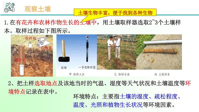 4.1《土壤的成分 第1课时》PPT课件+视频素材 浙教版八年级科学下册04