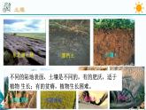 4.2《各种各样的土壤》PPT课件+视频素材 浙教版八年级科学下册
