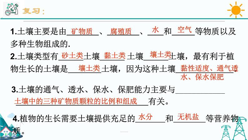 4.3《植物的根与物质吸收 第1课时》PPT课件+视频素材 浙教版八年级科学下册02