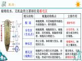 4.3《植物的根与物质吸收 第2课时》PPT课件+视频素材 浙教版八年级科学下册