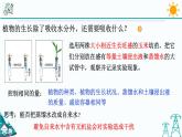 4.3《植物的根与物质吸收 第2课时》PPT课件+视频素材 浙教版八年级科学下册