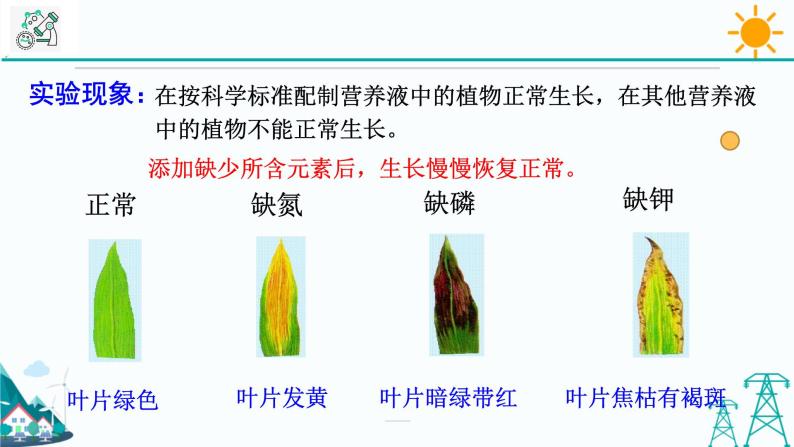 4.3《植物的根与物质吸收 第2课时》PPT课件+视频素材 浙教版八年级科学下册07