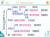 4.4《植物的茎与物质运输 第2课时》PPT课件+视频素材 浙教版八年级科学下册