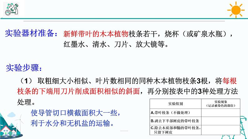 4.4《植物的茎与物质运输 第2课时》PPT课件+视频素材 浙教版八年级科学下册04