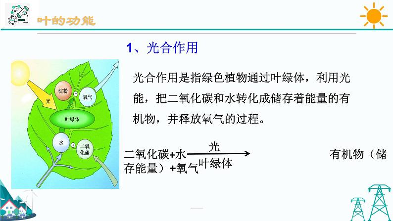 4.5《植物的叶与蒸腾作用 第1课时》PPT课件+视频素材 浙教版八年级科学下册06