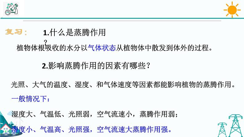 4.5《植物的叶与蒸腾作用 第2课时》PPT课件+视频素材 浙教版八年级科学下册02