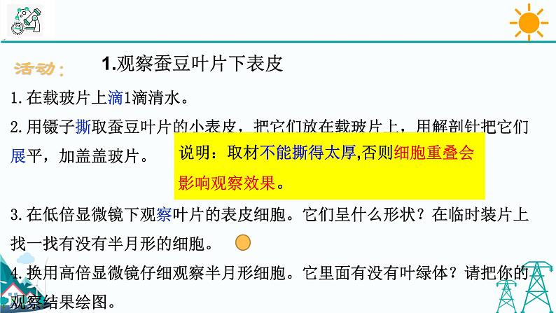 4.5《植物的叶与蒸腾作用 第2课时》PPT课件+视频素材 浙教版八年级科学下册07