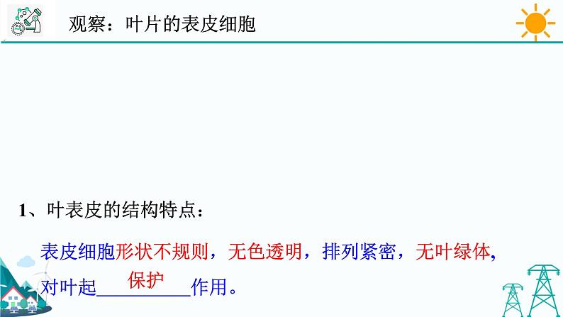 4.5《植物的叶与蒸腾作用 第2课时》PPT课件+视频素材 浙教版八年级科学下册08