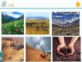 4.6《保护土壤》PPT课件+视频素材 浙教版八年级科学下册