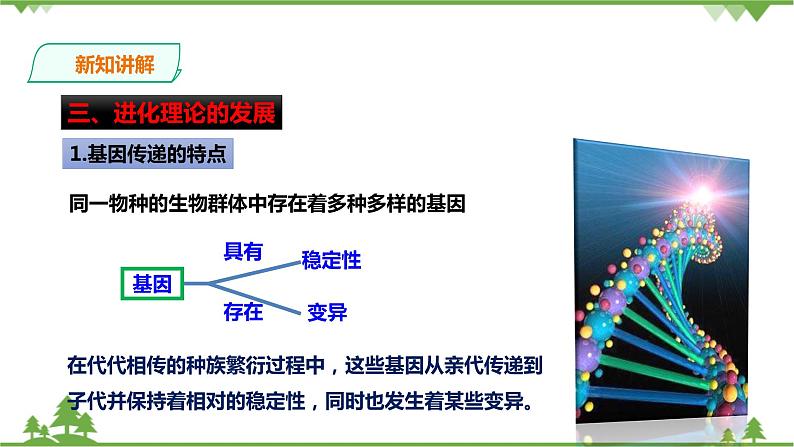 1.5《遗传与进化 第2课时》PPT课件+教案+练习+素材 浙教版九年级科学下册03