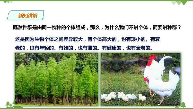 2.2《种群》PPT课件+教案+练习+素材 浙教版九年级科学下册06