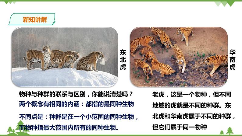 2.2《种群》PPT课件+教案+练习+素材 浙教版九年级科学下册07