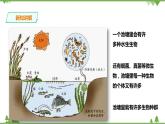 2.3《生物群落》PPT课件+教案+练习+素材 浙教版九年级科学下册