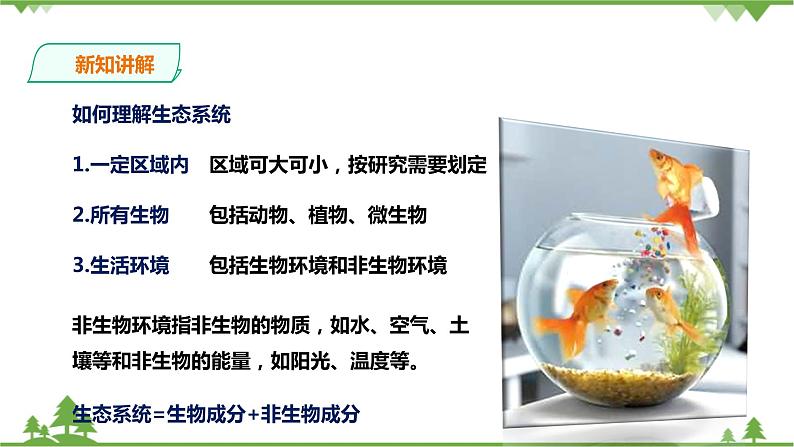 2.4《生态系统的结构和功能 第1课时》PPT课件+教案+练习+素材 浙教版九年级科学下册06