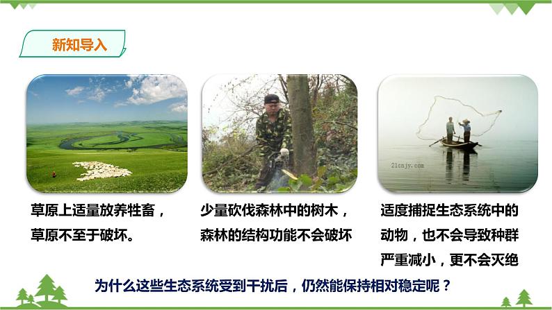 2.5《生态系统的稳定性 第1课时》PPT课件+教案+练习 浙教版九年级科学下册02
