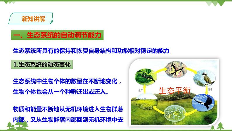 2.5《生态系统的稳定性 第1课时》PPT课件+教案+练习 浙教版九年级科学下册03