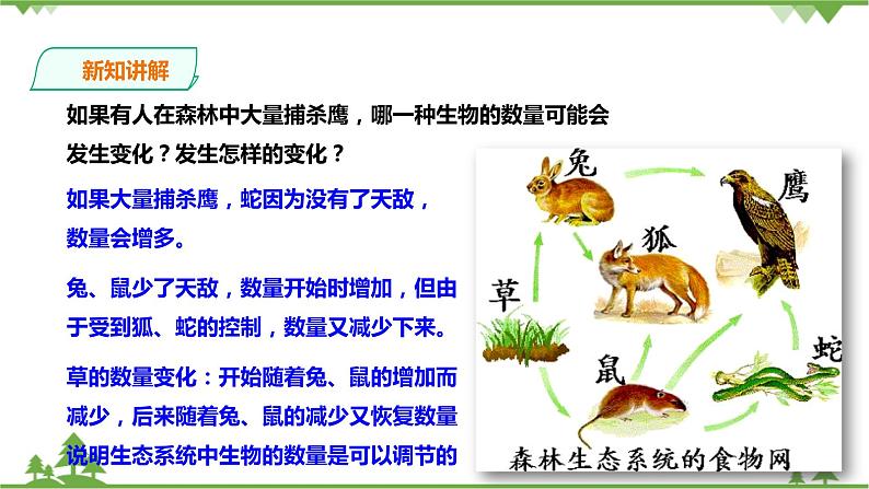 2.5《生态系统的稳定性 第1课时》PPT课件+教案+练习 浙教版九年级科学下册04