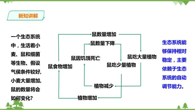 2.5《生态系统的稳定性 第1课时》PPT课件+教案+练习 浙教版九年级科学下册07