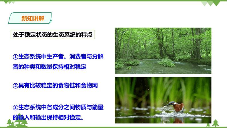 2.5《生态系统的稳定性 第1课时》PPT课件+教案+练习 浙教版九年级科学下册08