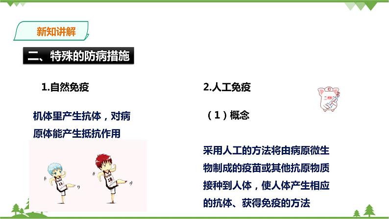 3.3《身体的防卫 第2课时》PPT课件+教案+练习 浙教版九年级科学下册03