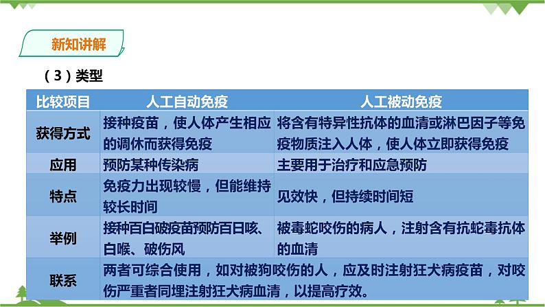 3.3《身体的防卫 第2课时》PPT课件+教案+练习 浙教版九年级科学下册05