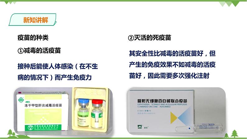 3.3《身体的防卫 第2课时》PPT课件+教案+练习 浙教版九年级科学下册06