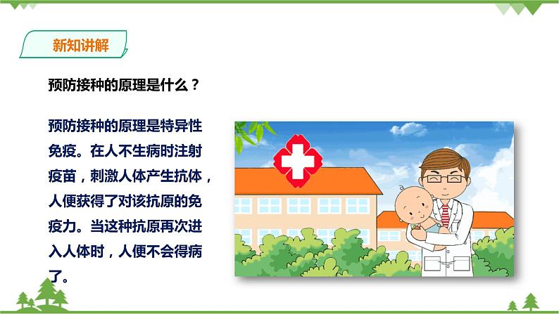 3.3《身体的防卫 第2课时》PPT课件+教案+练习 浙教版九年级科学下册07