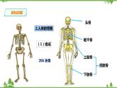 3.5《人的运动系统和保健 第1课时》PPT课件+教案+练习 浙教版九年级科学下册