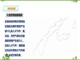 4.3《低碳生活》PPT课件+教案+练习 浙教版九年级科学下册