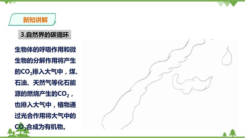 4.3《低碳生活》PPT课件+教案+练习 浙教版九年级科学下册04