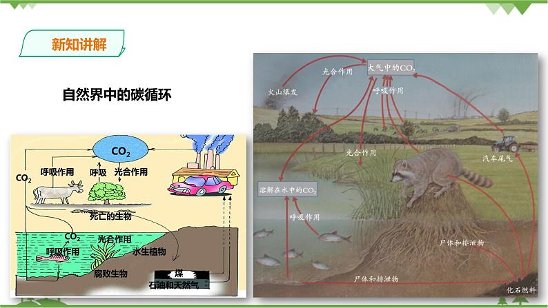 4.3《低碳生活》PPT课件+教案+练习 浙教版九年级科学下册05