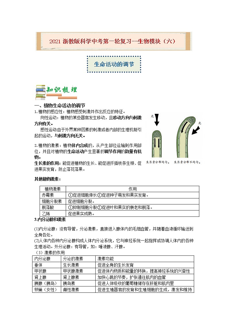 2020-2021学年浙教版科学中考第一轮复习--生物模块（六）：生命活动的调节【word，含答案】第1页