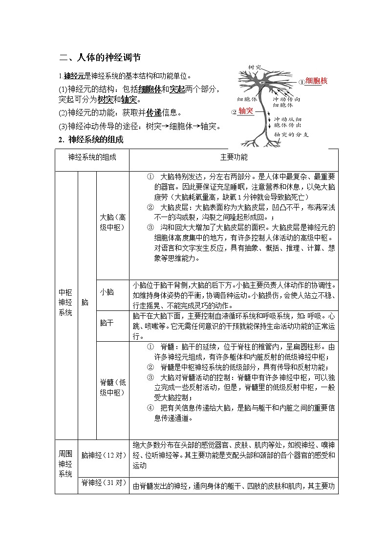 2020-2021学年浙教版科学中考第一轮复习--生物模块（六）：生命活动的调节【word，含答案】第3页