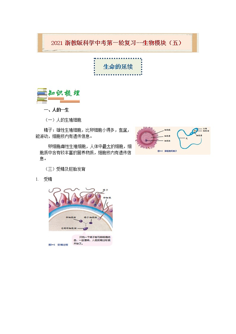 2020-2021学年浙教版科学中考第一轮复习--生物模块（五）：生命的延续【word，含答案】第1页