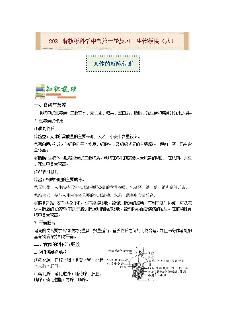 2020-2021学年浙教版科学中考第一轮复习--生物模块（八）：人体的新陈代谢【word，含答案】第1页