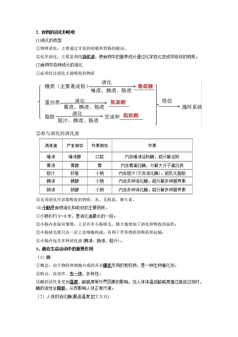 2020-2021学年浙教版科学中考第一轮复习--生物模块（八）：人体的新陈代谢【word，含答案】第2页