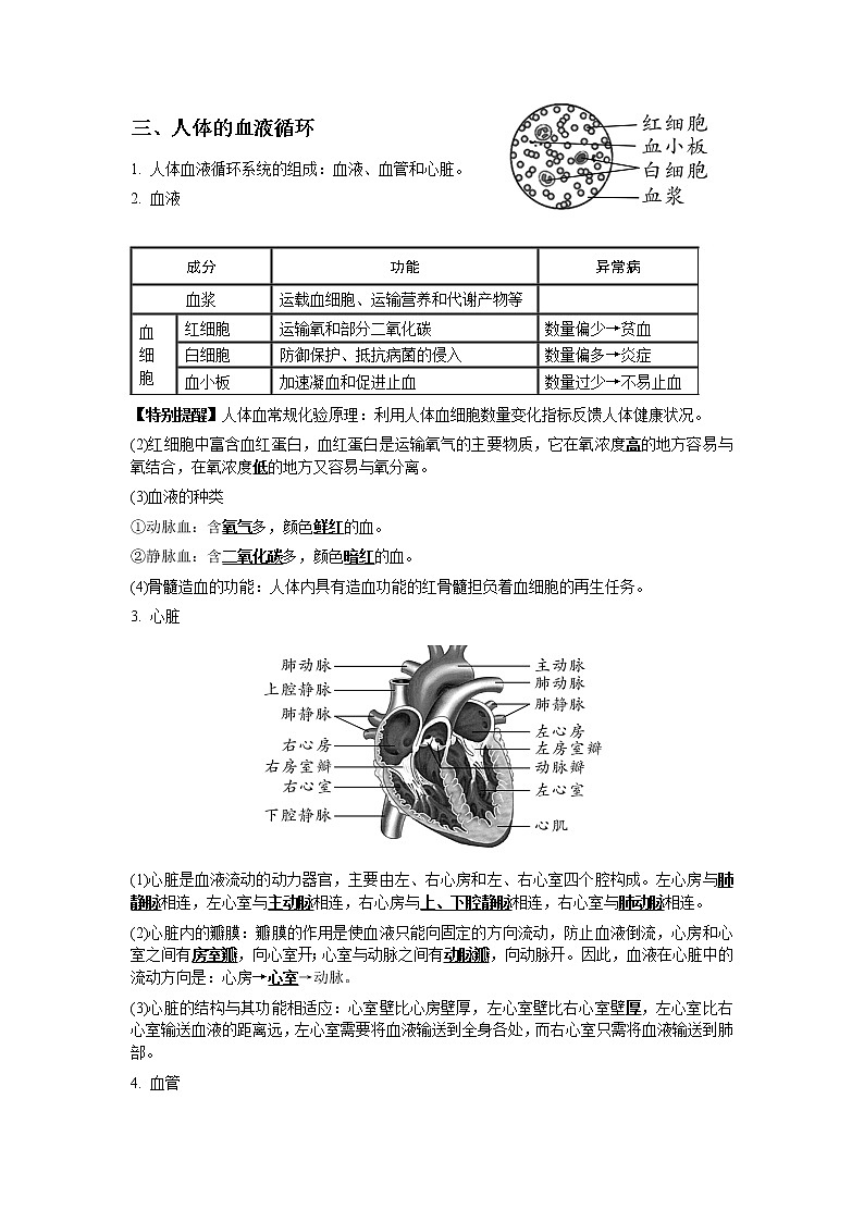 2020-2021学年浙教版科学中考第一轮复习--生物模块（八）：人体的新陈代谢【word，含答案】第3页