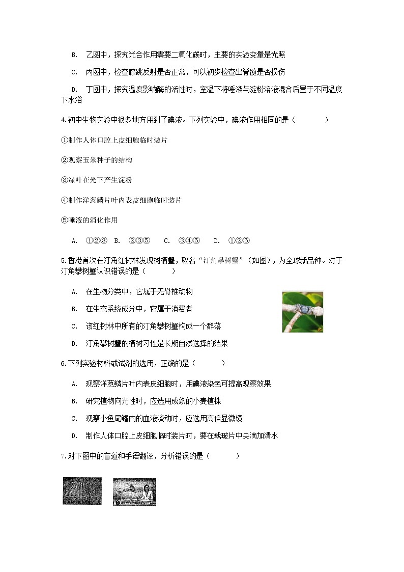 试卷 2020-2021学年浙教版科学中考第一轮复习分类题型训练（六）：生物选择（6）02