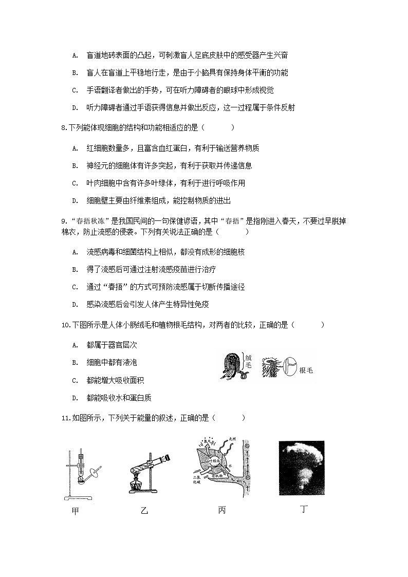 试卷 2020-2021学年浙教版科学中考第一轮复习分类题型训练（六）：生物选择（6）03