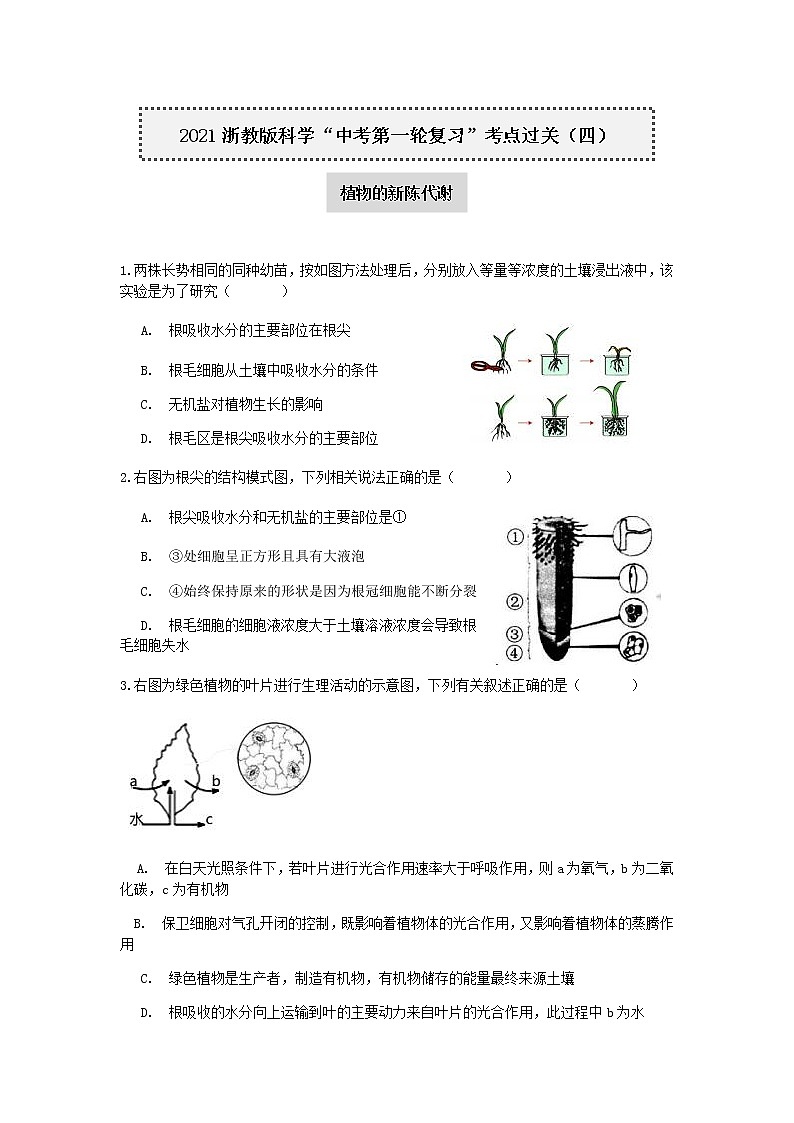 试卷 2021浙教版科学“中考第一轮复习”考点过关（四）：植物的新陈代谢【word，含答案】01