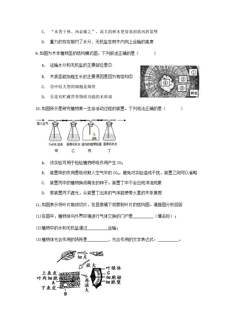 试卷 2021浙教版科学“中考第一轮复习”考点过关（四）：植物的新陈代谢【word，含答案】03