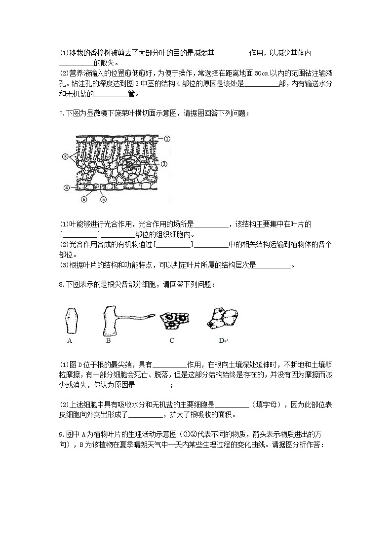试卷 2020-2021学年浙教版科学中考第一轮复习分类题型训练（十八）：生物填空（8）第3页
