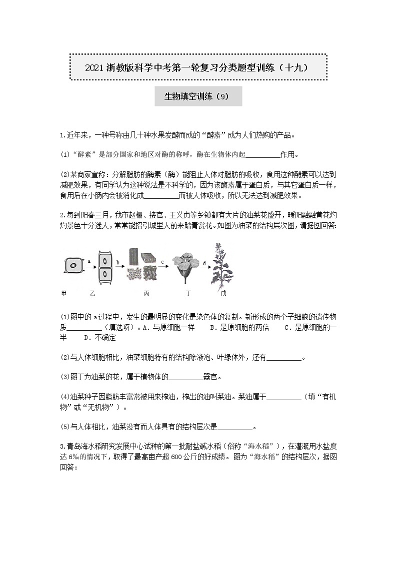 试卷 2020-2021学年浙教版科学中考第一轮复习分类题型训练（十九）：生物填空（9）第1页