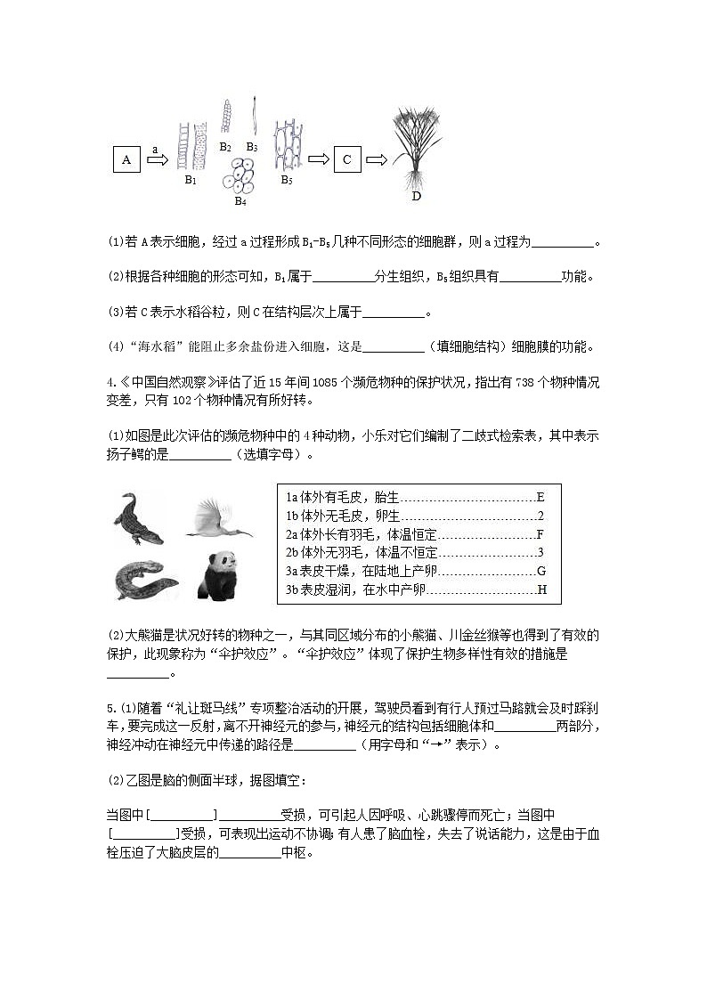 试卷 2020-2021学年浙教版科学中考第一轮复习分类题型训练（十九）：生物填空（9）第2页