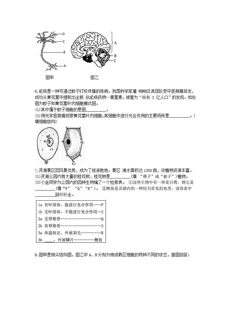 试卷 2020-2021学年浙教版科学中考第一轮复习分类题型训练（十九）：生物填空（9）第3页