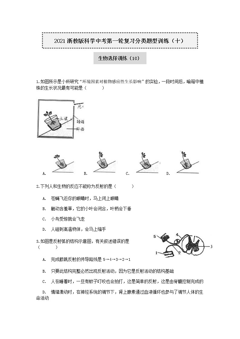 试卷 2020-2021学年浙教版科学中考第一轮复习分类题型训练（十）：生物选择（10）01