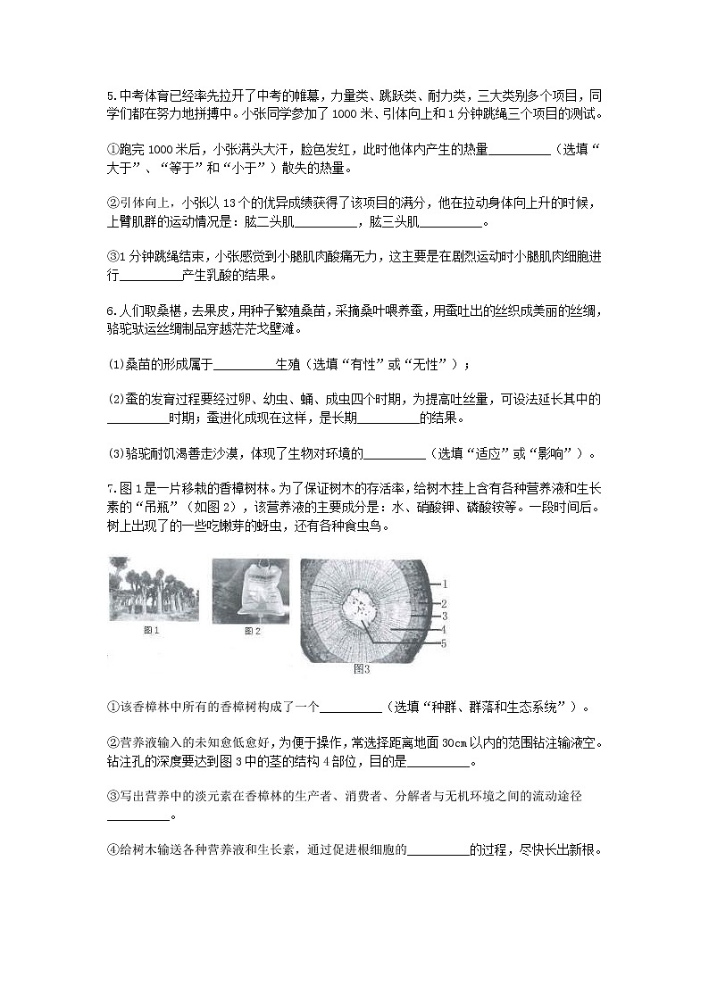试卷 2020—2021学年浙教版科学中考第一轮复习分类题型训练（十一）：生物填空（1）03