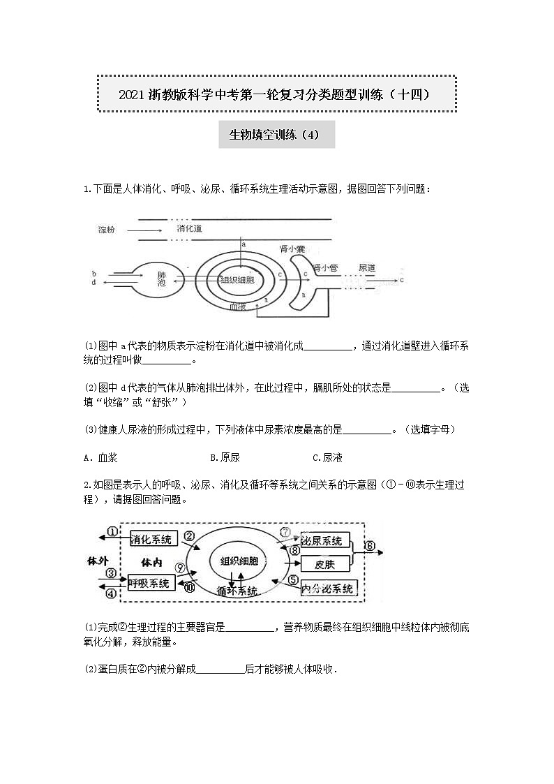 试卷 2020—2021学年浙教版科学中考第一轮复习分类题型训练（十四）：生物填空（4）第1页