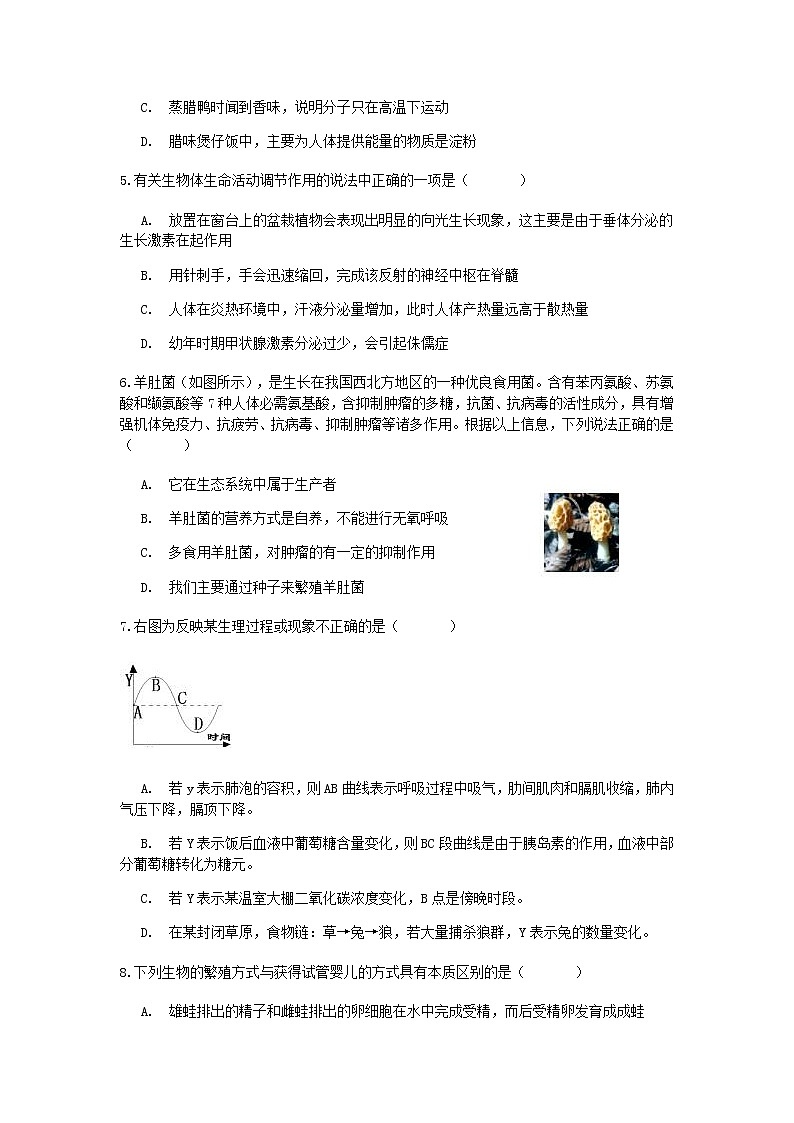 试卷 2020—2021学年浙教版科学中考第一轮复习分类题型训练（四）：生物选择（4）第2页